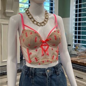 Victoria's Secret Romantic Floral Fantasy Bustier Bra Pink Valentine’s Day 34C
